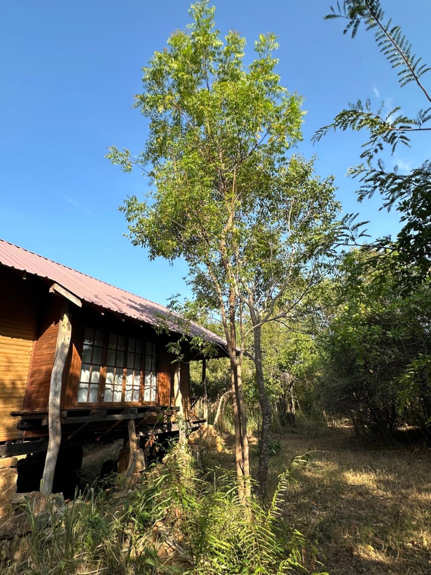 Athreya Ayurveda Ashram 호텔 하바라나 외부 사진