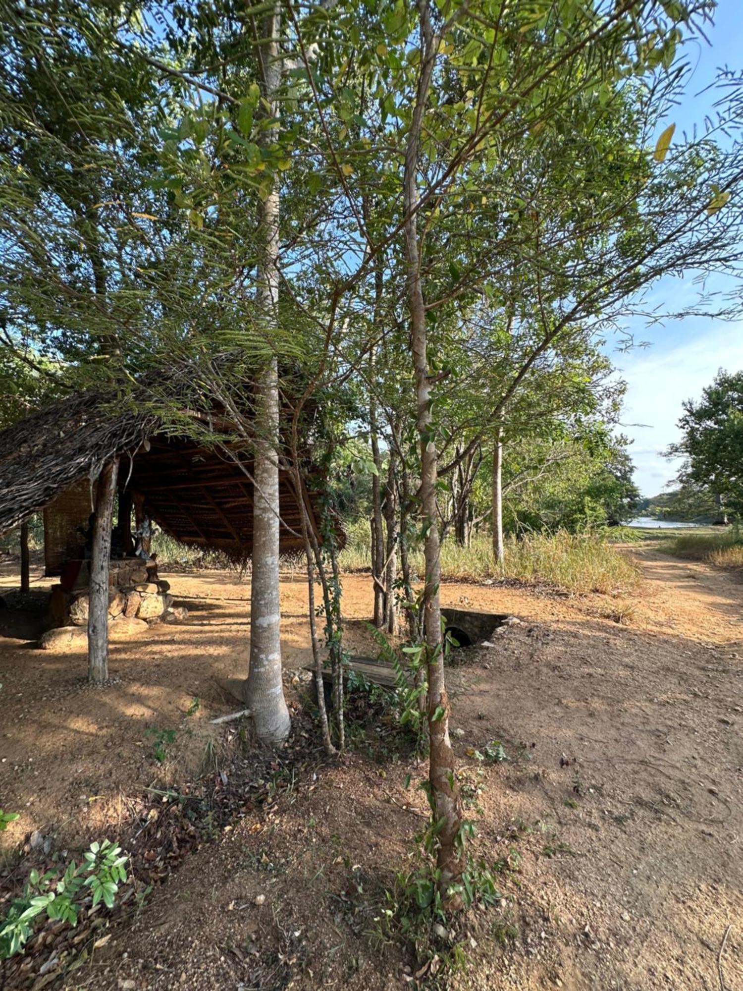 Athreya Ayurveda Ashram 호텔 하바라나 외부 사진