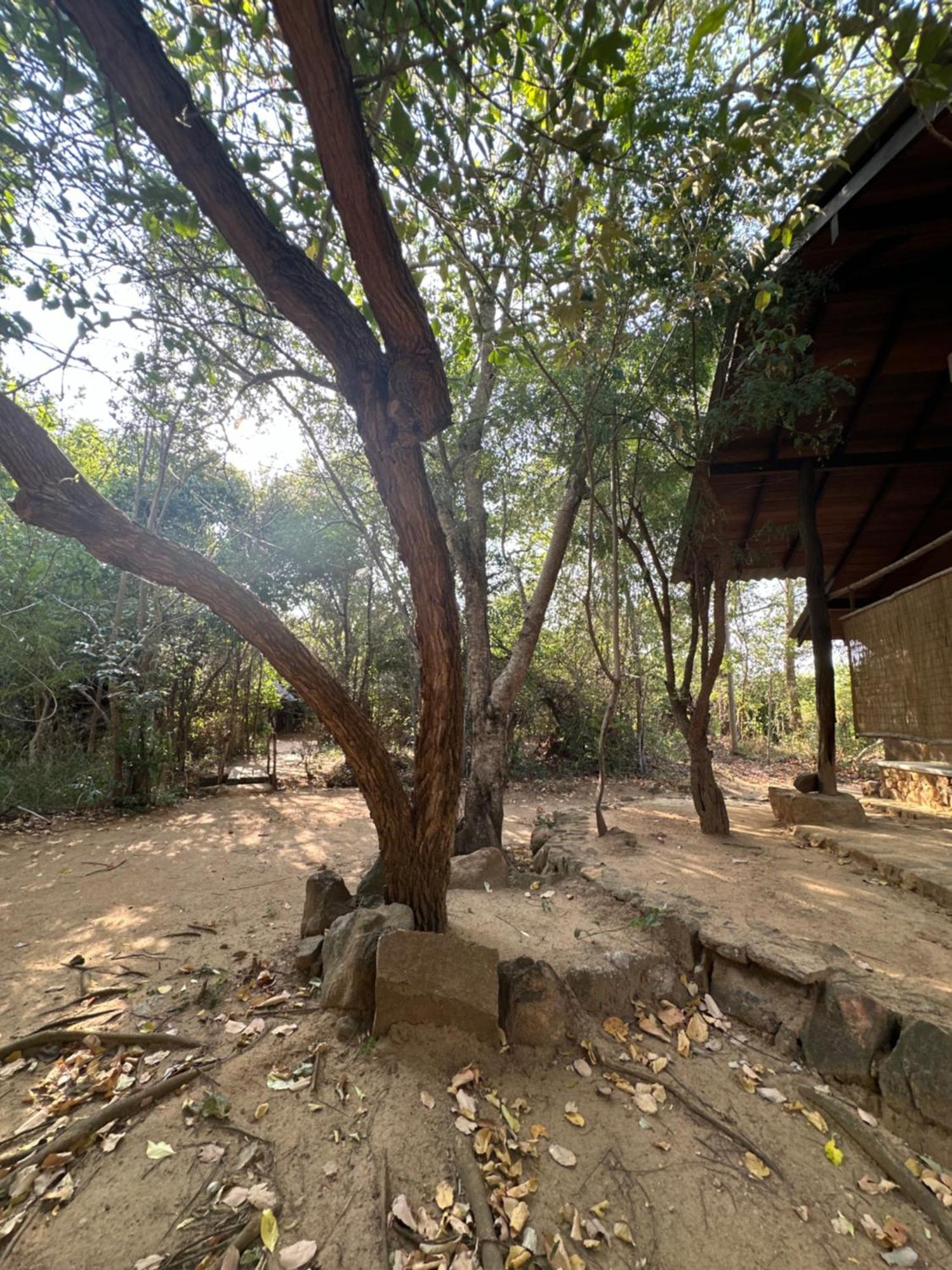 Athreya Ayurveda Ashram 호텔 하바라나 외부 사진