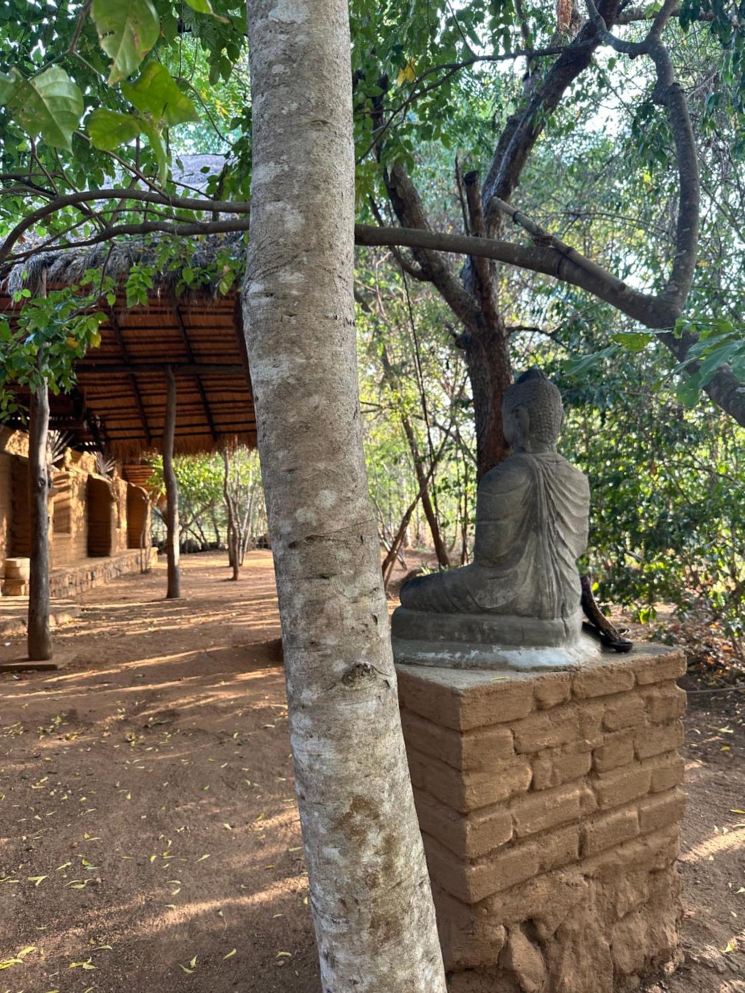 Athreya Ayurveda Ashram 호텔 하바라나 외부 사진