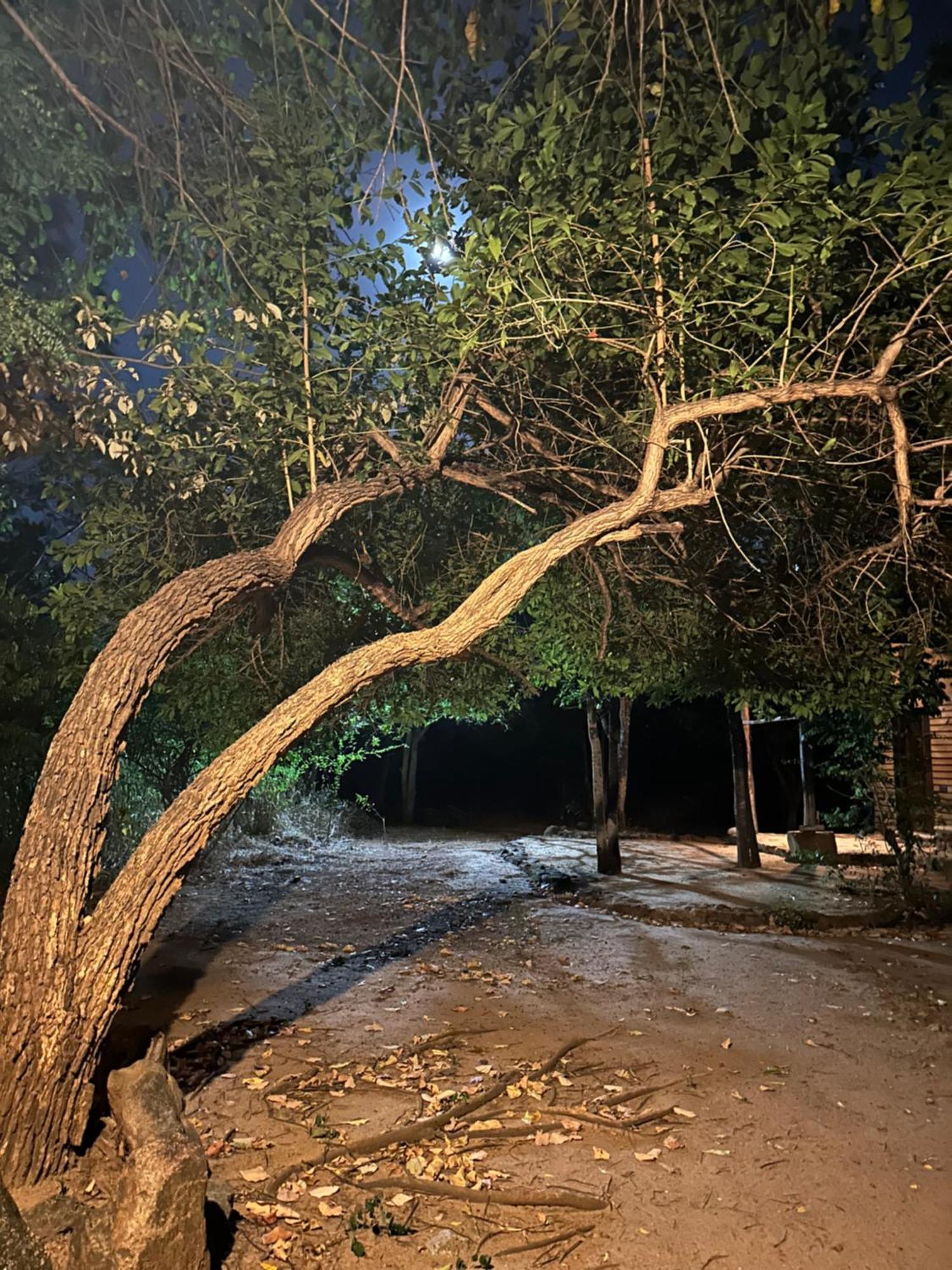 Athreya Ayurveda Ashram 호텔 하바라나 외부 사진