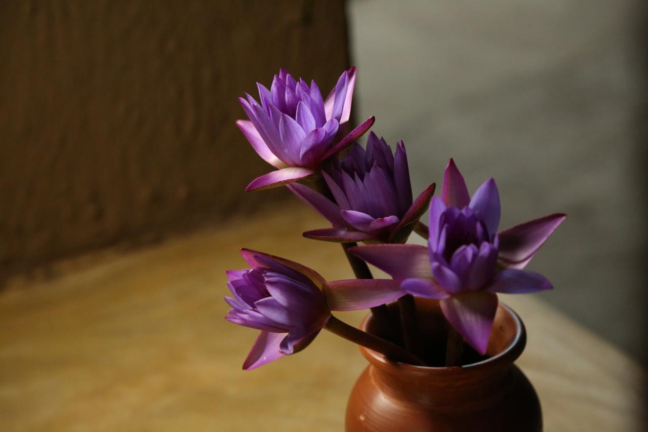 Athreya Ayurveda Ashram 호텔 하바라나 외부 사진